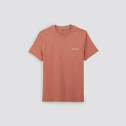 Tee Shirt Matière Flammée Brodé -Magasin De Vêtements De Mode 1003599 13702 V11