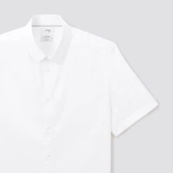 Chemisette Slim Unie Coton Biologique -Magasin De Vêtements De Mode 1003606 10000 V8