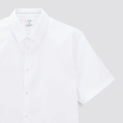 Chemisette Regular Sans Repassage Unie Coton -Magasin De Vêtements De Mode 1003609 10000 V8