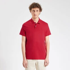 Polo Manches Courtes Uni En Jersey 11 Polo Manches Courtes Uni En Jersey -Magasin De Vêtements De Mode 1003860 14031 V2