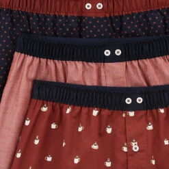 Lot De 3 Caleçons Fantaisie -Magasin De Vêtements De Mode 1004116 14211 V7