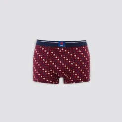 Boxer Licence France Rugby